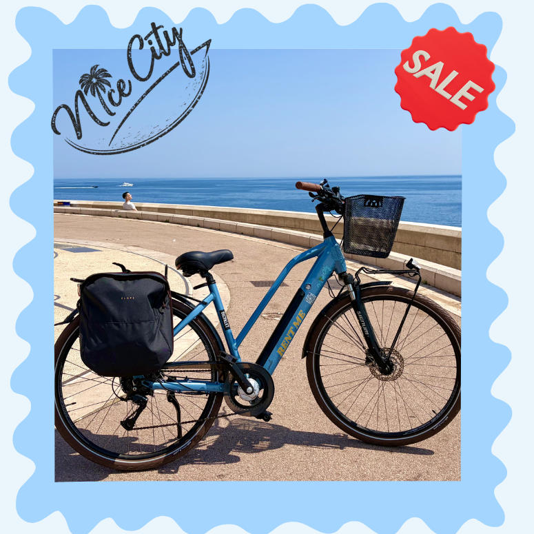 Réduction groupe vélo électrique, 4 personnes ou plus !