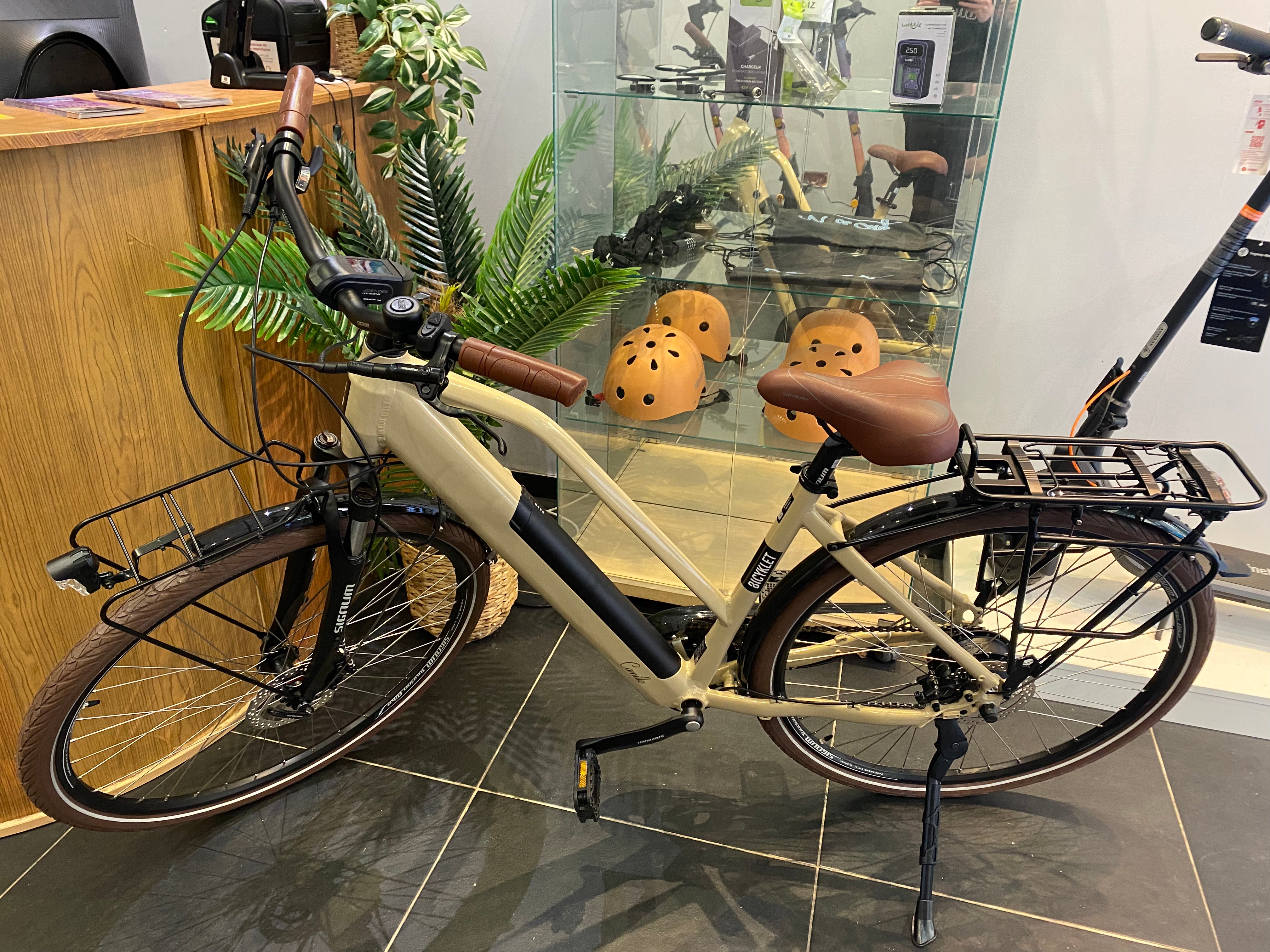 Electric Bike Rental in Nice