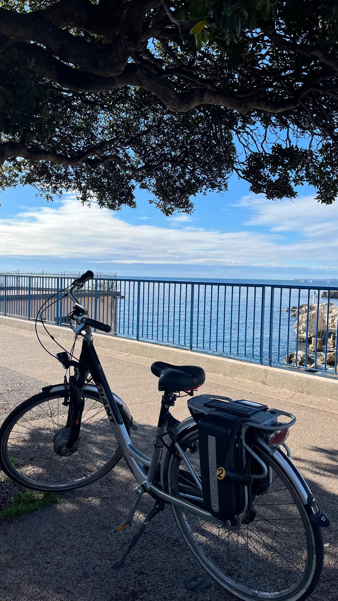 Electric Bike Rental in Nice