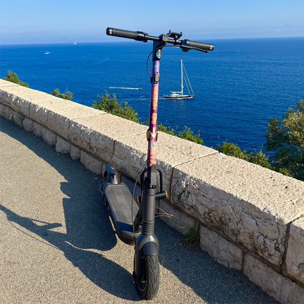 Electric kick Scooter Rental in Nice 